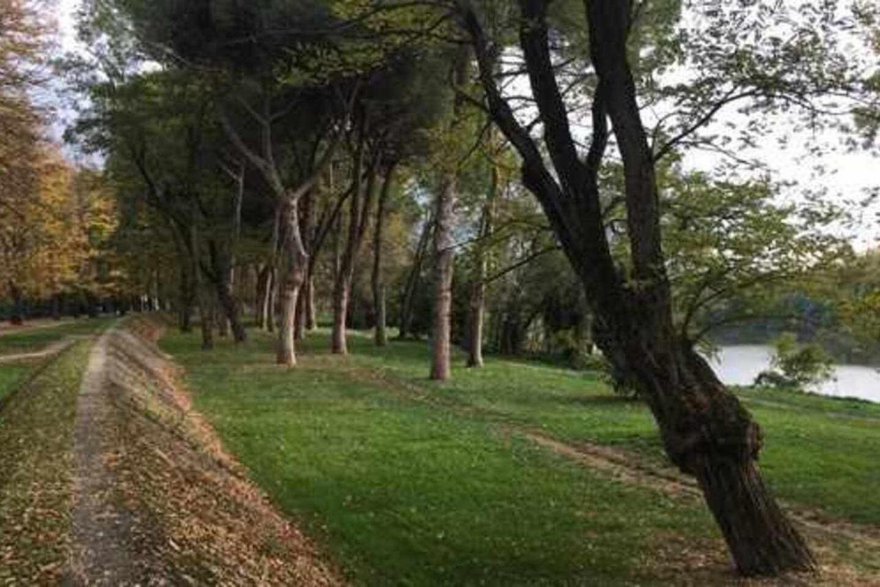 Pisa Appartamento Bonaini Exterior photo